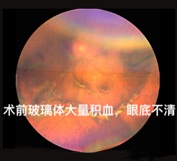（修）图3.png