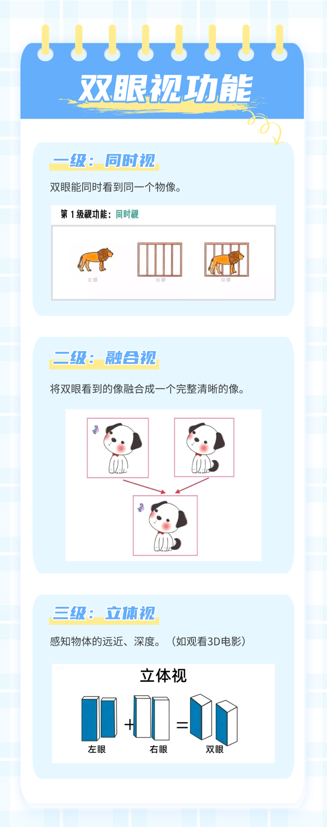 医疗养生保健养生水果知识科普小红书配图 (1).png