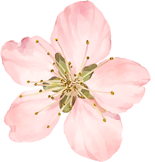 明眸"森"呼吸|广州普瑞眼科医院工会活力徒步嘉年华,凝心聚力攀高峰,一起登登登! - 广州普瑞眼科医院