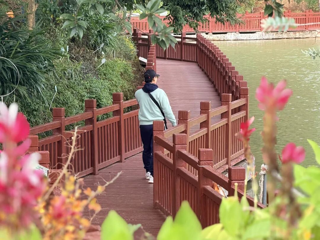 活力普瑞 精彩广州｜广州普瑞眼科医院年度工会团建山野徒步嘉年华活动圆满落幕 - 广州普瑞眼科医院