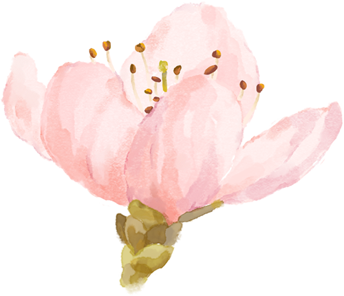 明眸"森"呼吸|广州普瑞眼科医院工会活力徒步嘉年华,凝心聚力攀高峰,一起登登登! - 广州普瑞眼科医院