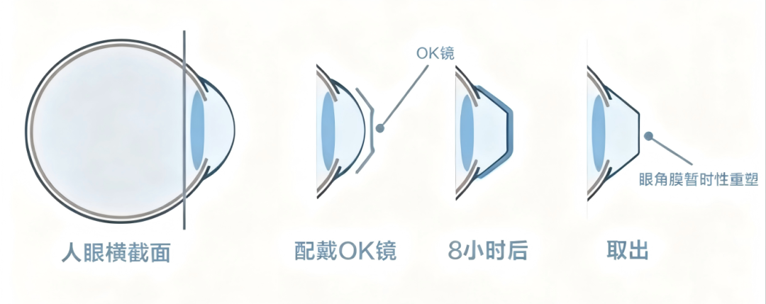 根据原图重新生成.png