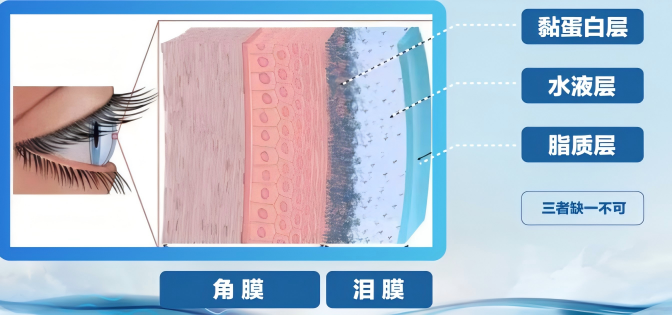 WPS图片(1).png