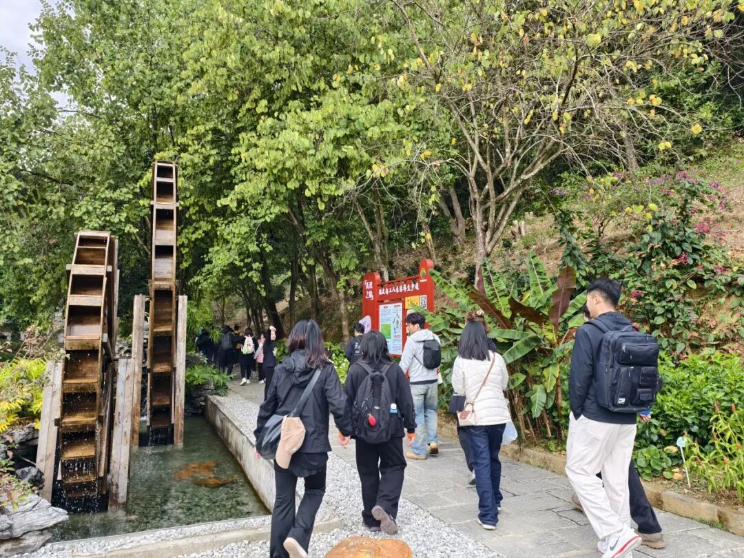 活力普瑞 精彩广州｜广州普瑞眼科医院年度工会团建山野徒步嘉年华活动圆满落幕 - 广州普瑞眼科医院
