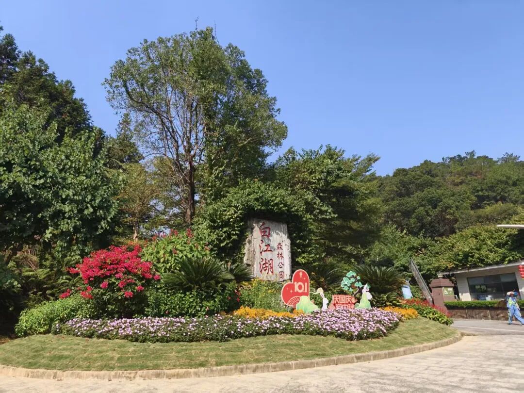 明眸"森"呼吸|广州普瑞眼科医院工会活力徒步嘉年华,凝心聚力攀高峰,一起登登登! - 广州普瑞眼科医院