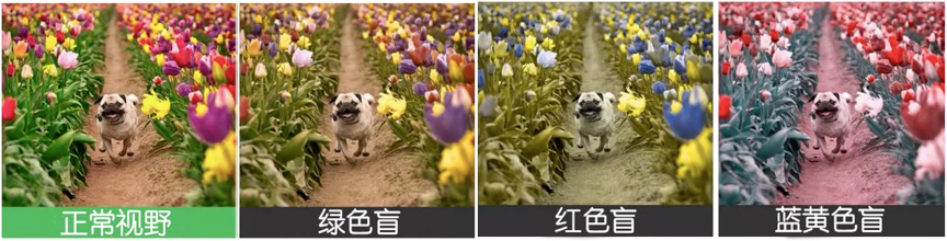 黄斑病变?散光?老花眼?色盲?一张图教你自查是否有这些情况! - 广州普瑞眼科医院