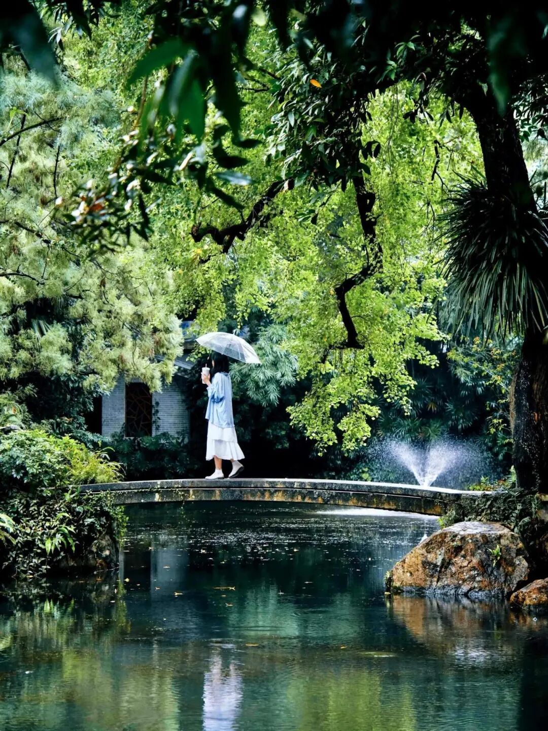 undefined undefined