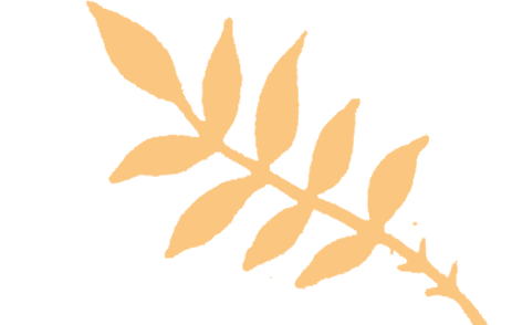 三维一体近视防控 | 寒假想配OK镜?这份验配攻略请收好! - 广州普瑞眼科医院