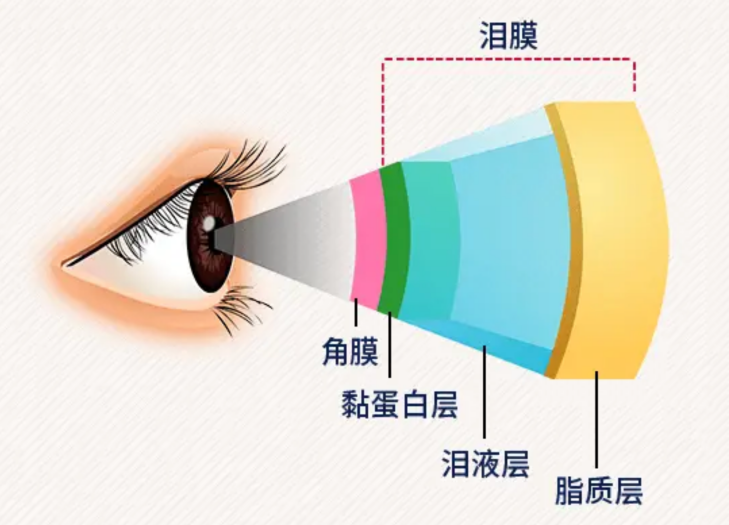 66爱眼日:公园里的科普馆开馆了 - 广州普瑞眼科医院