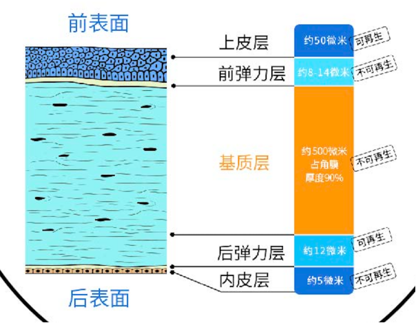 66爱眼日:公园里的科普馆开馆了 - 广州普瑞眼科医院