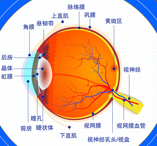 66爱眼日:公园里的科普馆开馆了 - 广州普瑞眼科医院