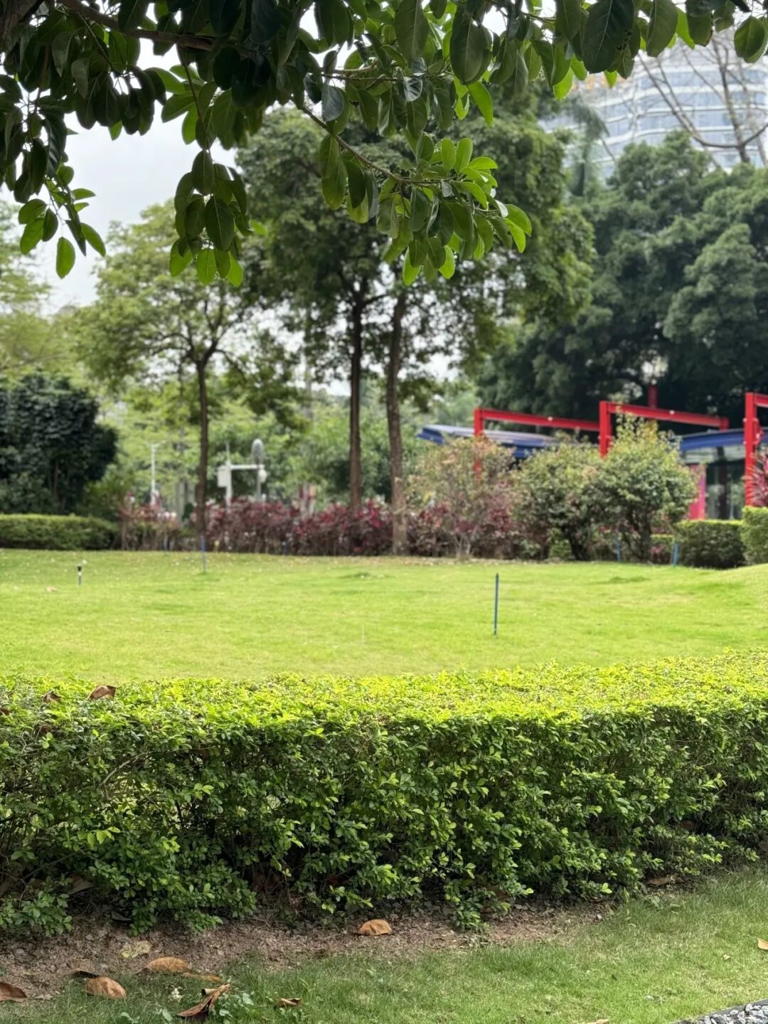 当摘镜撞上脱口秀！这场 “开放麦” 有点 “睛” 彩 - 广州普瑞眼科医院