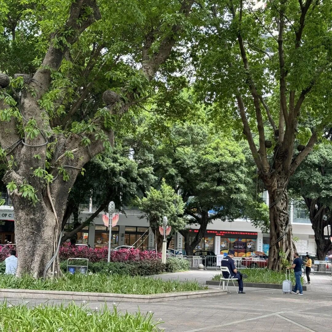 当摘镜撞上脱口秀！这场 “开放麦” 有点 “睛” 彩 - 广州普瑞眼科医院