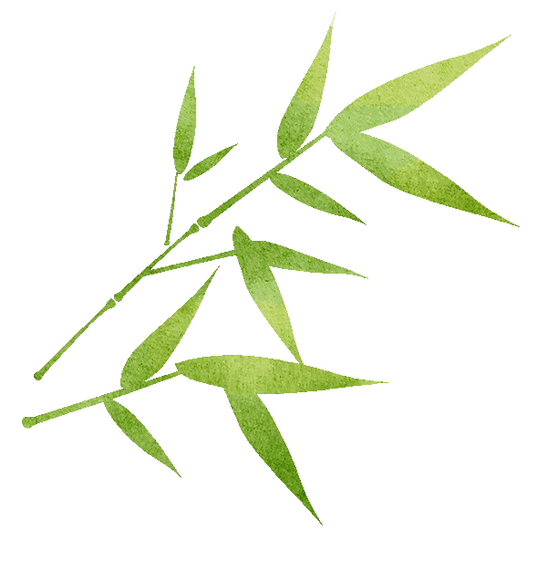 当粽子遇见护眼知识，广州普瑞这个端午"睛"彩又暖心！ - 广州普瑞眼科医院