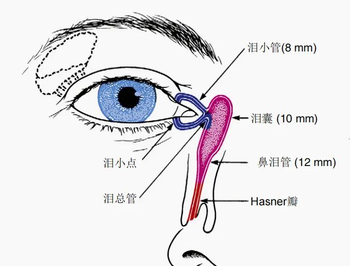 6种常见眼病,看看你有没有这些症状? - 广州普瑞眼科医院