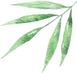 粽香端午丨广州普瑞眼科端祝您端午安康! - 广州普瑞眼科医院