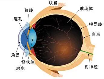 6种常见眼病,看看你有没有这些症状? - 广州普瑞眼科医院