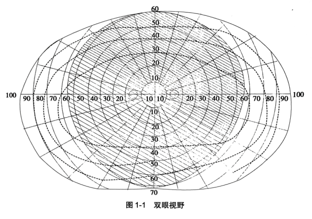 为什么我们有两只眼睛?揭秘“立体视功能”真相! - 广州普瑞眼科医院